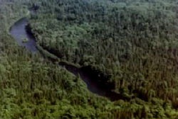 A river in the Allagash wilderness, location footage