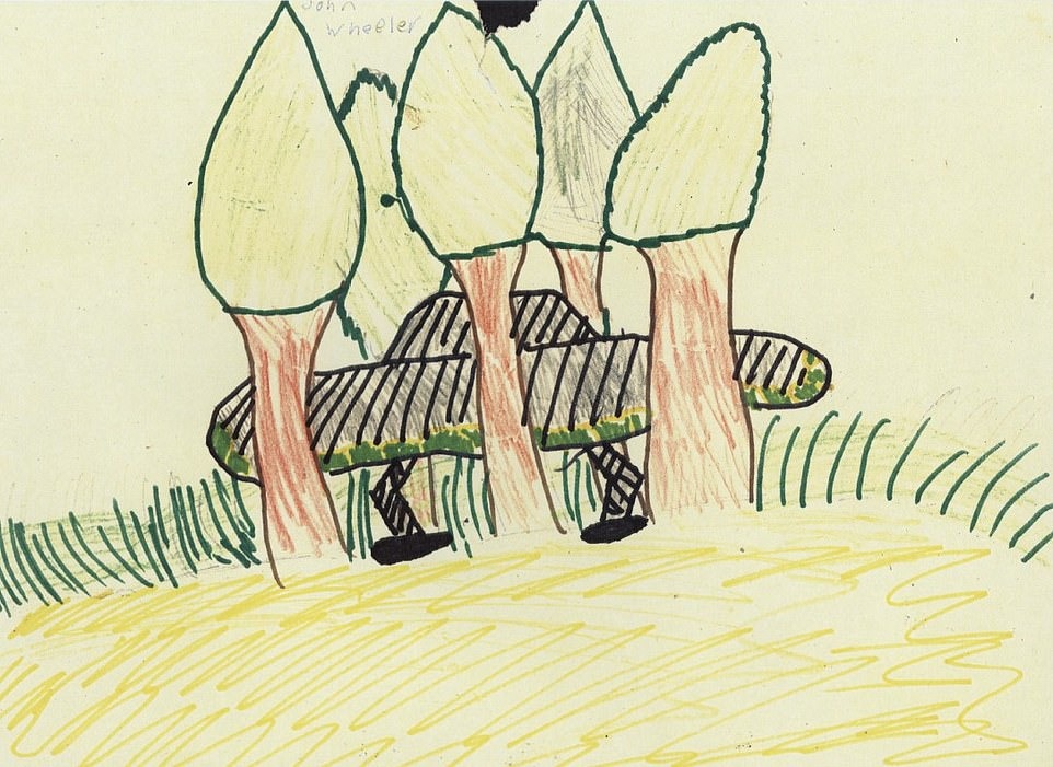 Children's drawings of what they saw