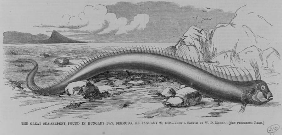 The Harper's Weekly engraving, Bernews copy