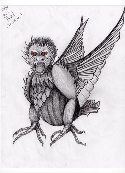 Illustration of the creature on the Cryptopia article