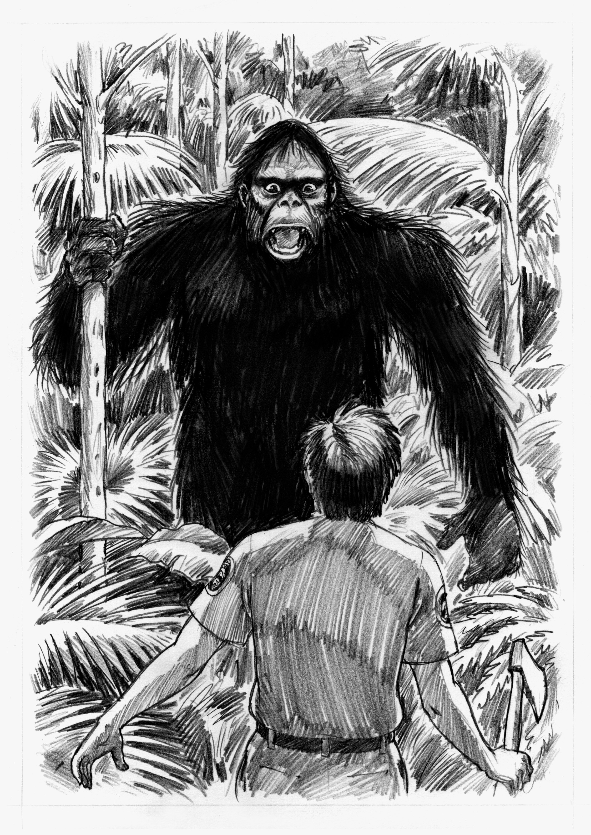 Yowie illustration accompanying The Fortean article; artwork, not a photograph.