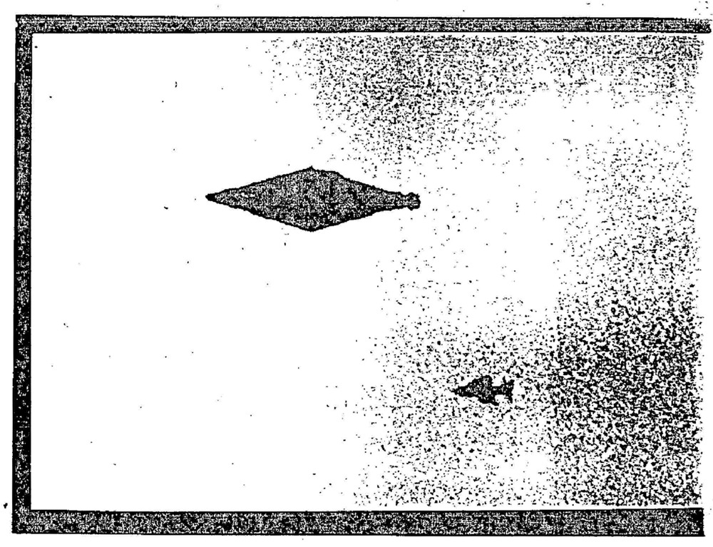 Poor-quality photocopy of an MoD Vu-Foil made from a cropped Calvine frame, released in 2009 (DEFE 31/180/1).