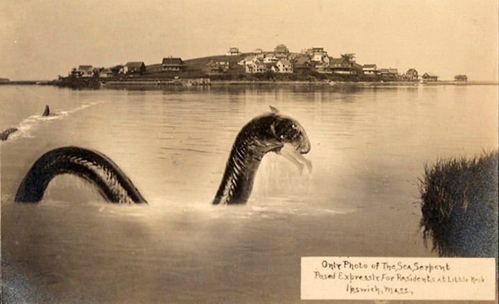 Staged hoax photograph of a sea serpent at Little Neck, Ipswich, c.1910. A separate case.