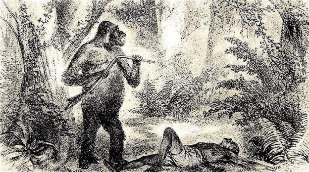 19th-century illustration from Paul du Chaillu's Stories of the Gorilla Country.