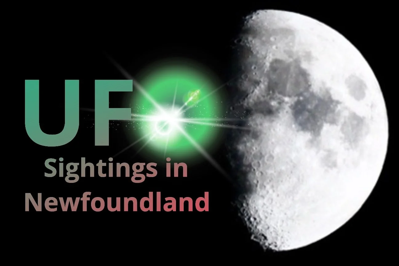 Illustration from Product of Newfoundland's "Outer Space to Outer Cove" article; not a 2016 photo.