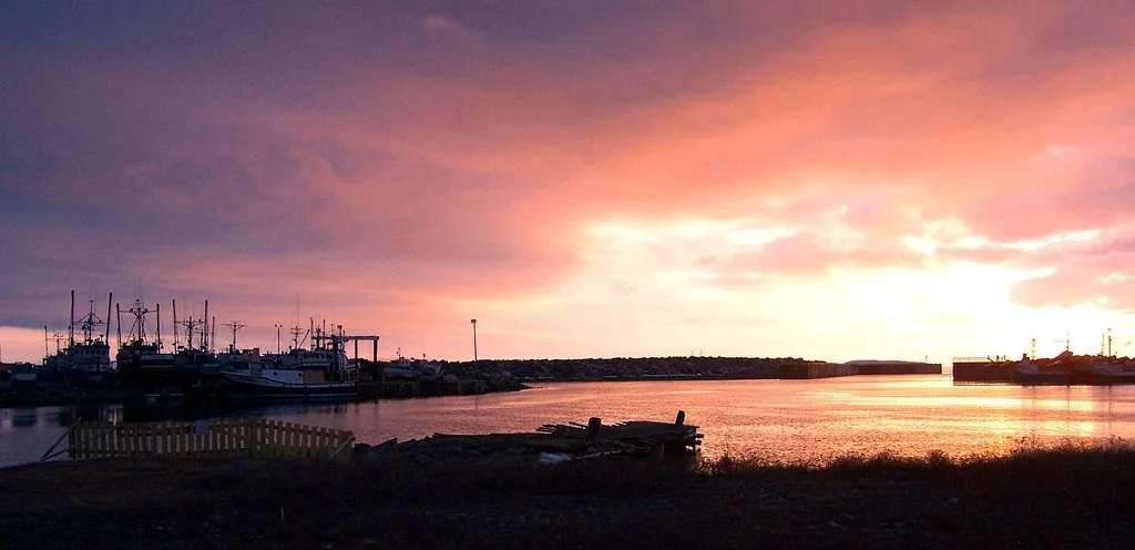 Illustration from Product of Newfoundland's "Outer Space to Outer Cove" article; not a 2016 photo.
