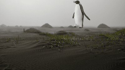 Illustrative composite of a giant penguin; not a photograph of the case.