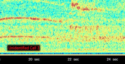 Spectrogram of the Ohio Howl, part 9