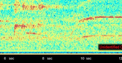 Spectrogram of the Ohio Howl, part 7