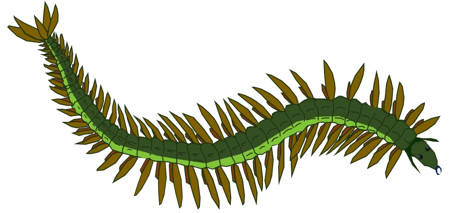 Fan-wiki rendition of the Con Rit. Artwork.