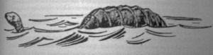 Illustration or book scan from Cryptomundo (cent3).