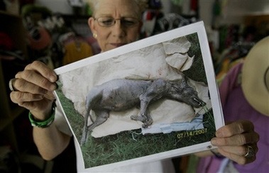Phylis Canion examines the head at her home, 31 August 2007.