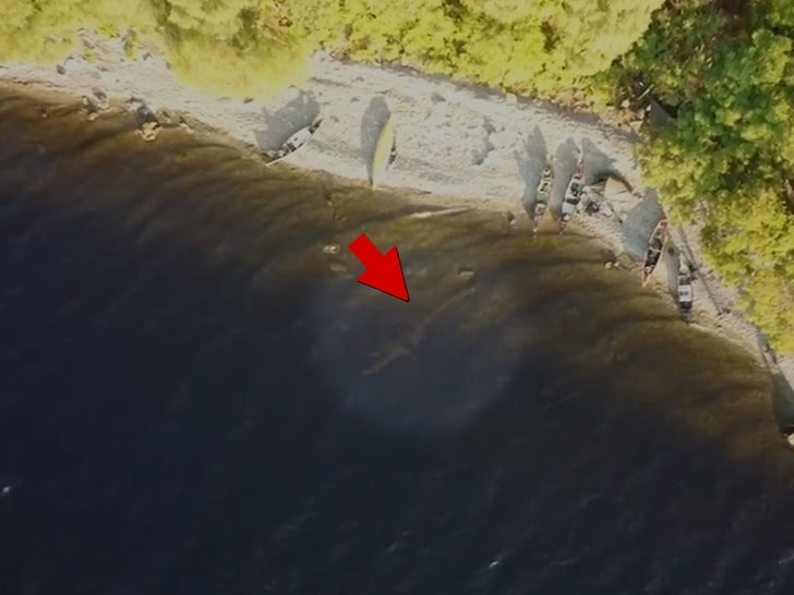 Still credited to Richard Outdoors/YouTube, probably a frame from the footage (not viewed)