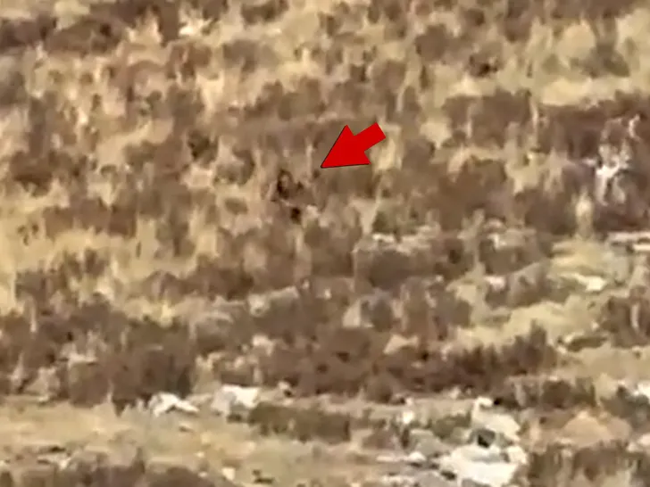 Sighting image embedded by Contact