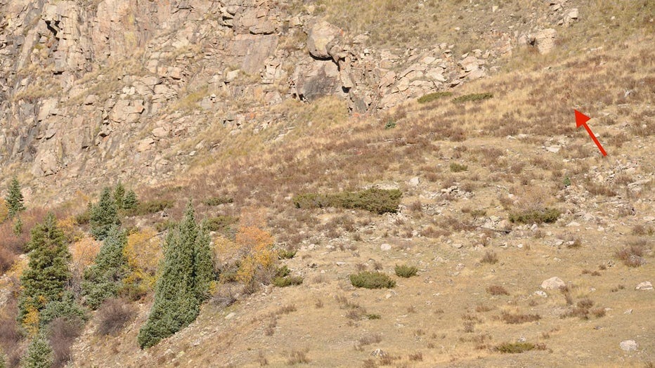 Photo of creature spotted in Colorado