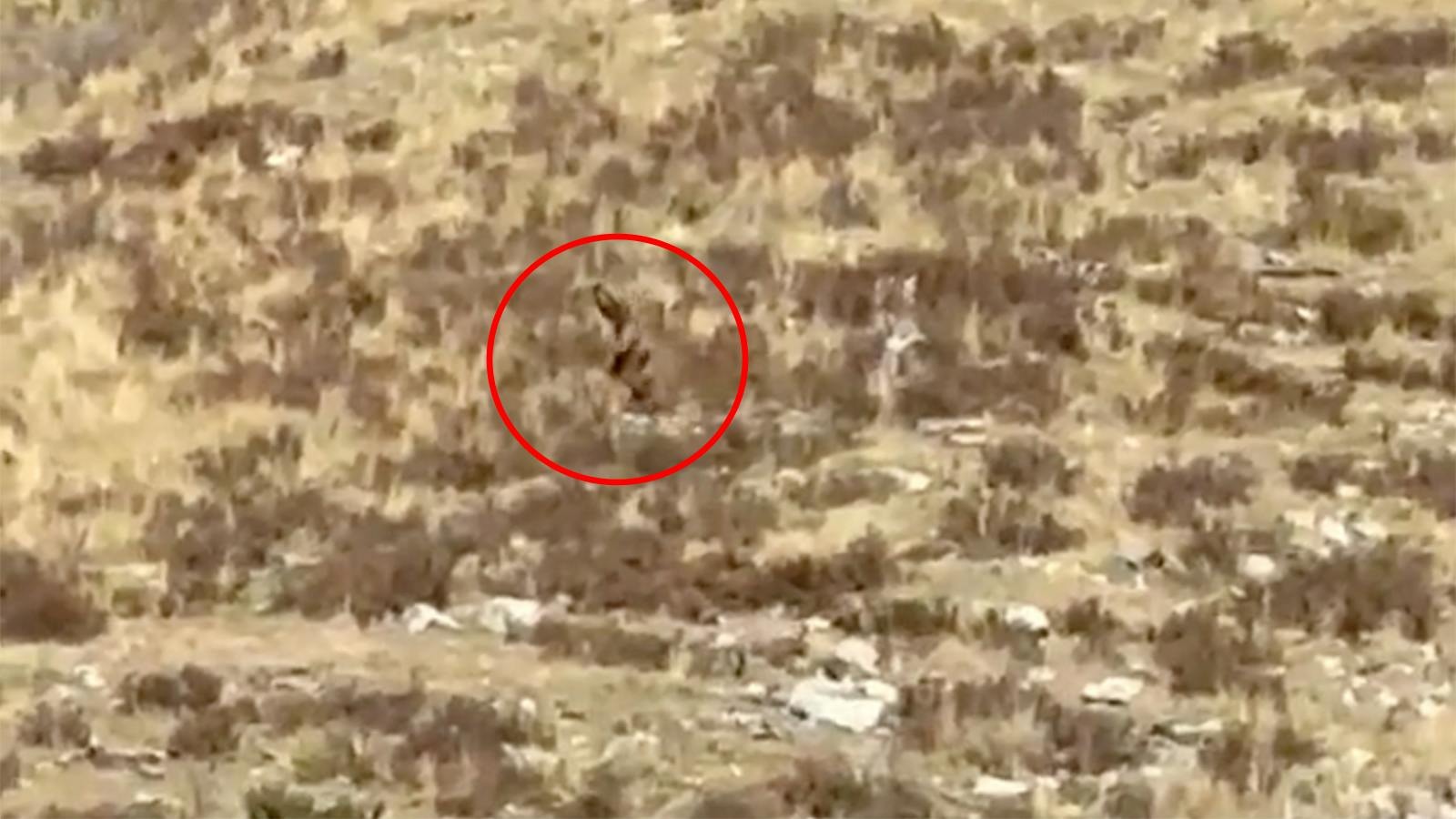 Annotated still from the video