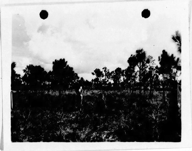 Case file image 5 from the ICCRA page (content not verified).