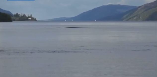 Still from David Elder's footage of the disturbance