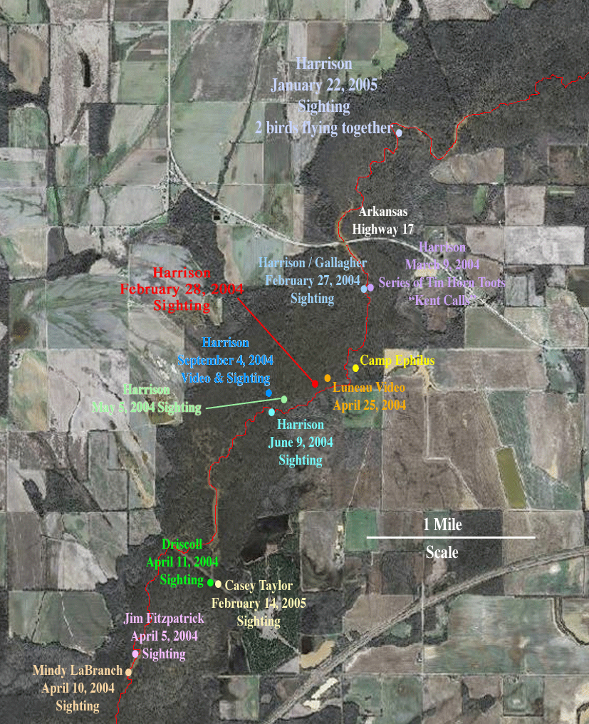 Map of Ivory-billed Woodpecker sighting locations in Bayou DeView during the 2004-2005 search season
