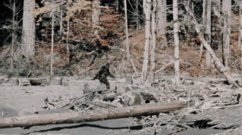 Still from famous 1967 Patterson-Gimlin film, used as KFBB's lead image.