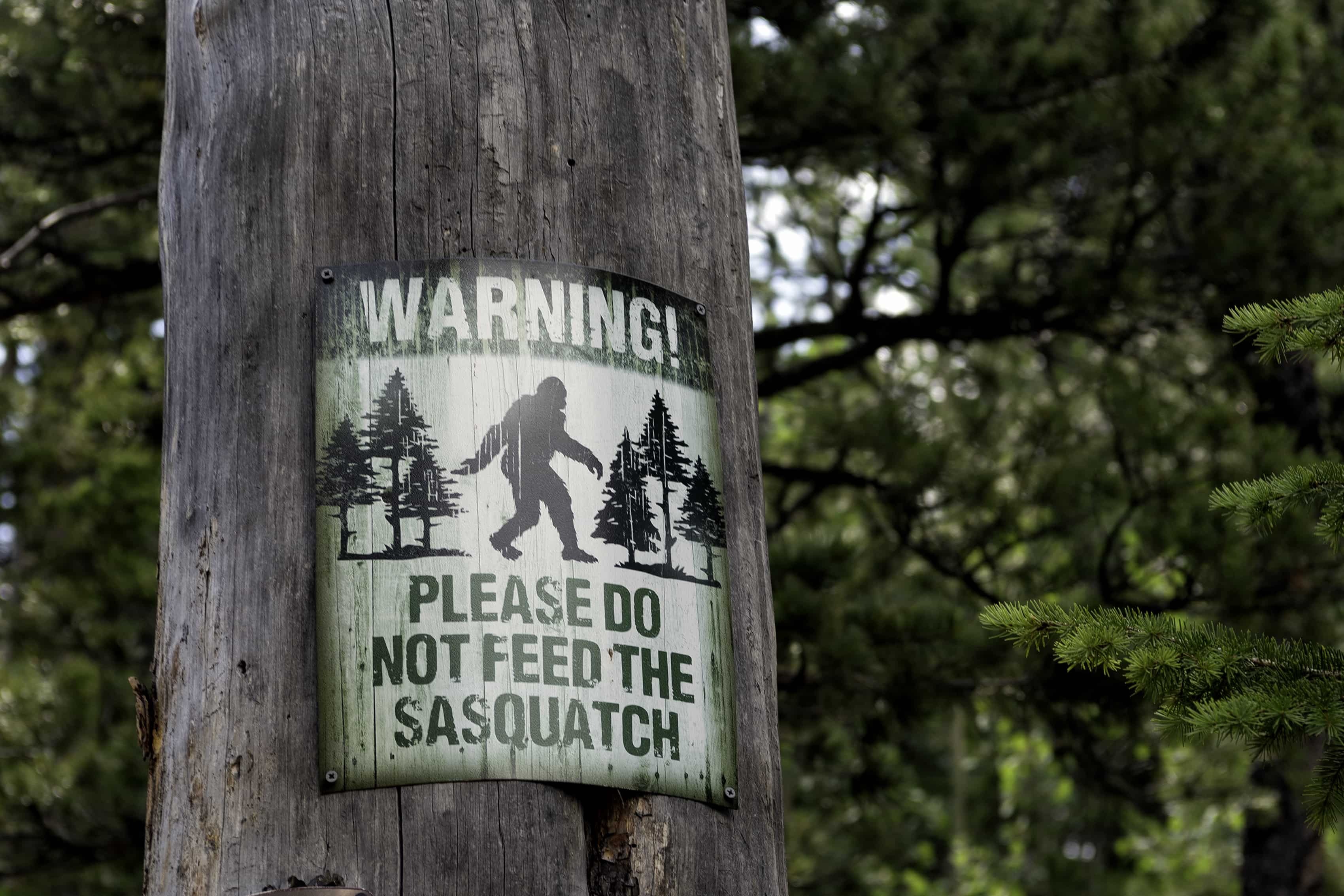 Stock photo of a Bigfoot sign on a tree.