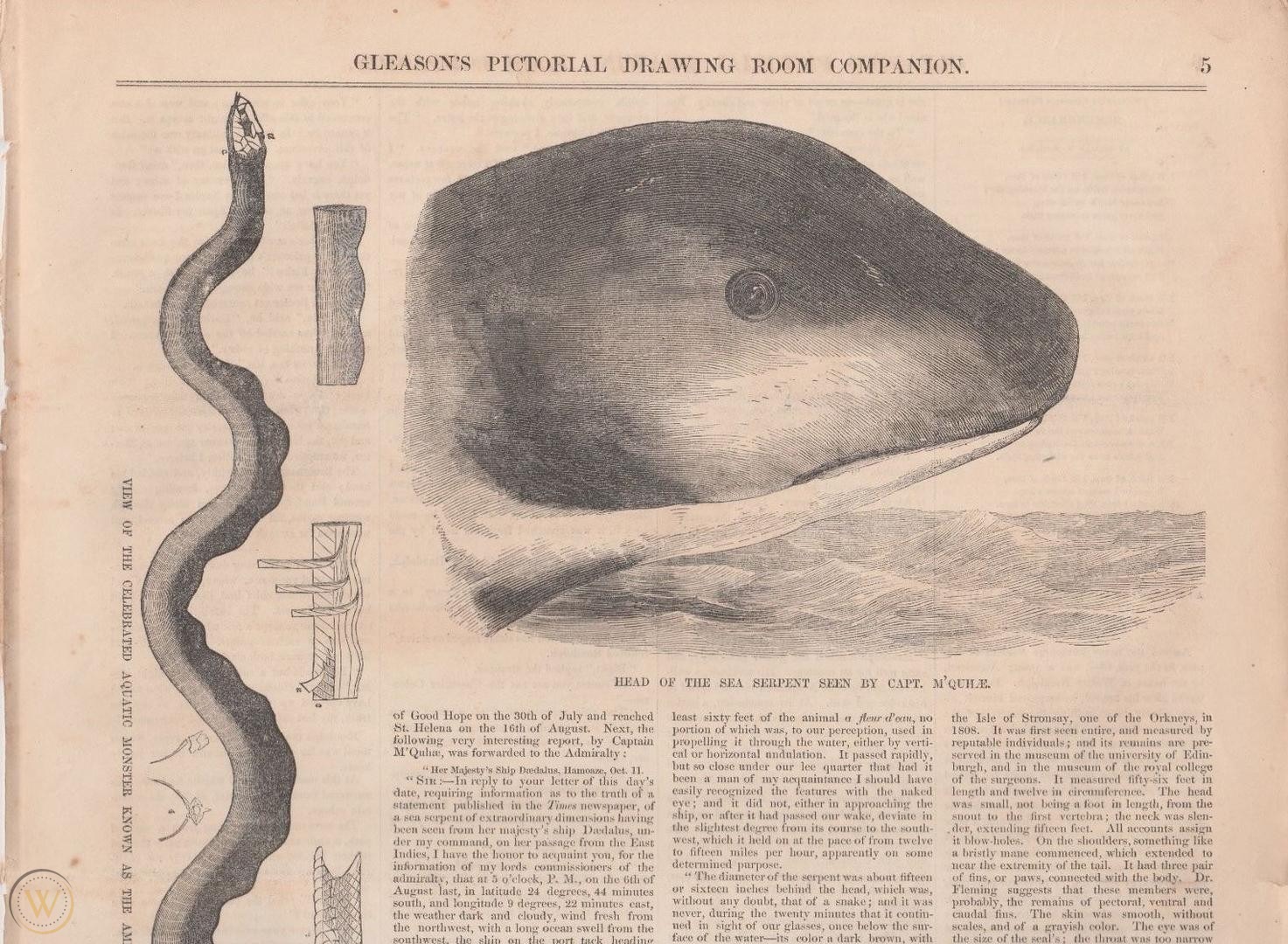 "Great Sea Serpent", Gleason's Pictorial Drawing-Room Companion