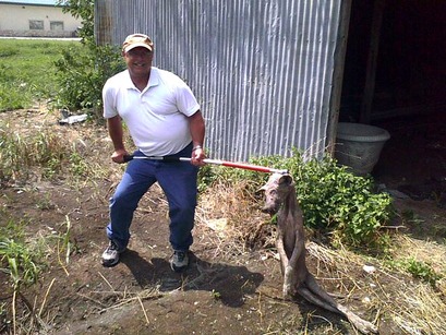 Labelled 'Hood County chupacabra', likely a TV news frame (not verified)