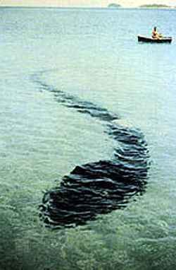 One of the Le Serrec series of photographs of the Hook Island object