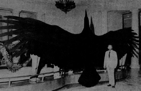 Reconstruction of a teratorn, a prehistoric bird