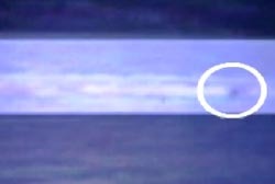 Annotated frame from the Chaplin video highlighting an apparent appendage
