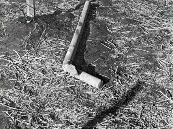The broken concrete vineyard post.
