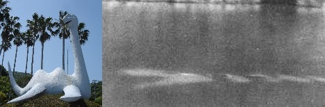 Image titled isshii.jpg embedded in a blog post on Issie; possibly the December 1978 Matsubara photograph, content unverified