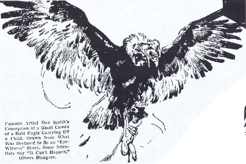 1937 Dan Smith illustration of a giant white-necked bird carrying a child, Fresno Bee-Republican, 18 July 1937