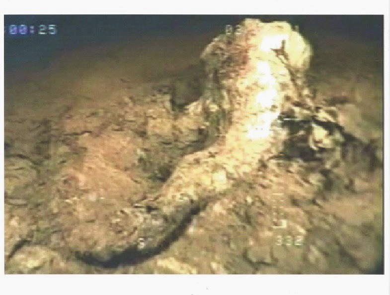 ROV image of a carcass-like object on the floor of Loch Ness near the mouth of Urquhart Bay, taken by Rines's team in 2001. Not the wake.