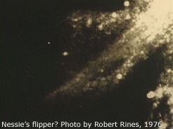1975 Academy of Applied Science flipper-type underwater image, background to Rines's work, not this case.