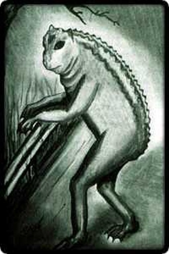 The same witness-based sketch of the Loveland Frogman