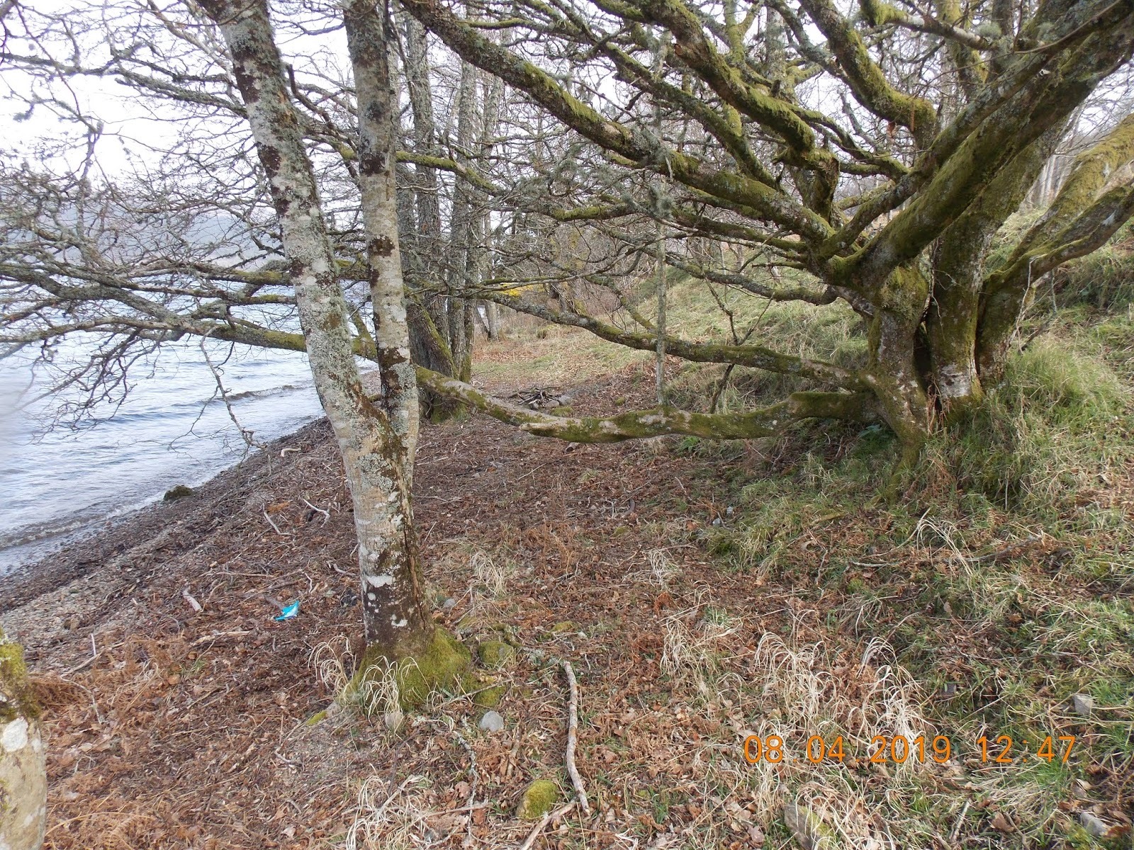 The beach section near the stream mouth