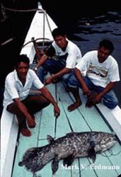 Manado market
