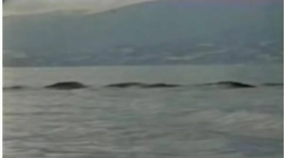 Ed Fletcher photograph of a reported Ogopogo, a different Okanagan case