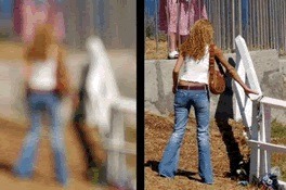 The fence from another angle, debunking the claim