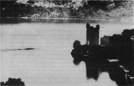 The Whyte version of the MacNab photograph, with the tree clump at lower left.