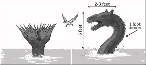 Illustration of the 2025 Campbell River sighting. Not a photograph.