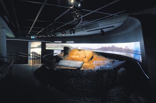 Header image of the 2007 Grapevine piece on the Settlement Exhibition.
