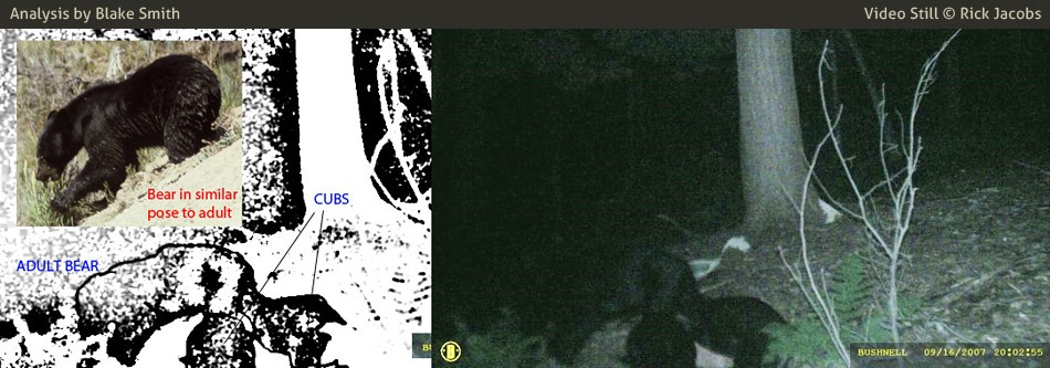 MonsterTalk annotated frame, 20:02:55, bear