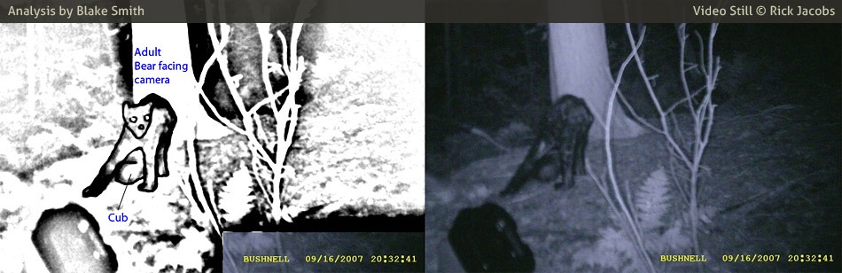 MonsterTalk annotated frame, 20:32:41, the creature