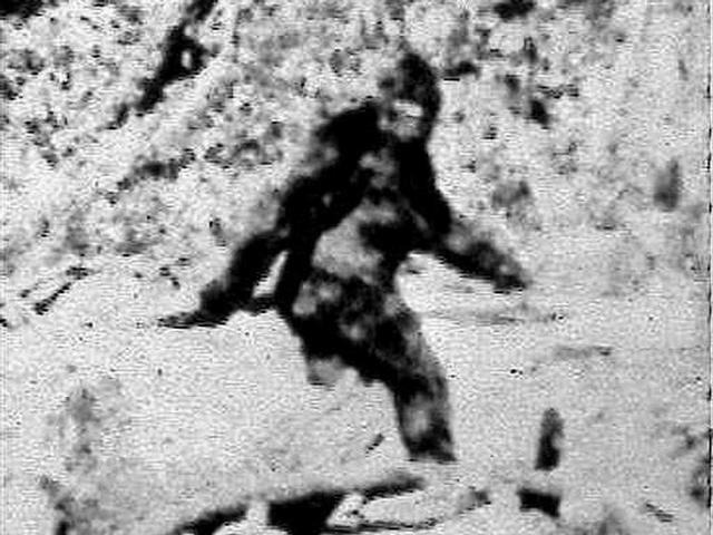 Generic Sasquatch graphic from 2014, not from this event.