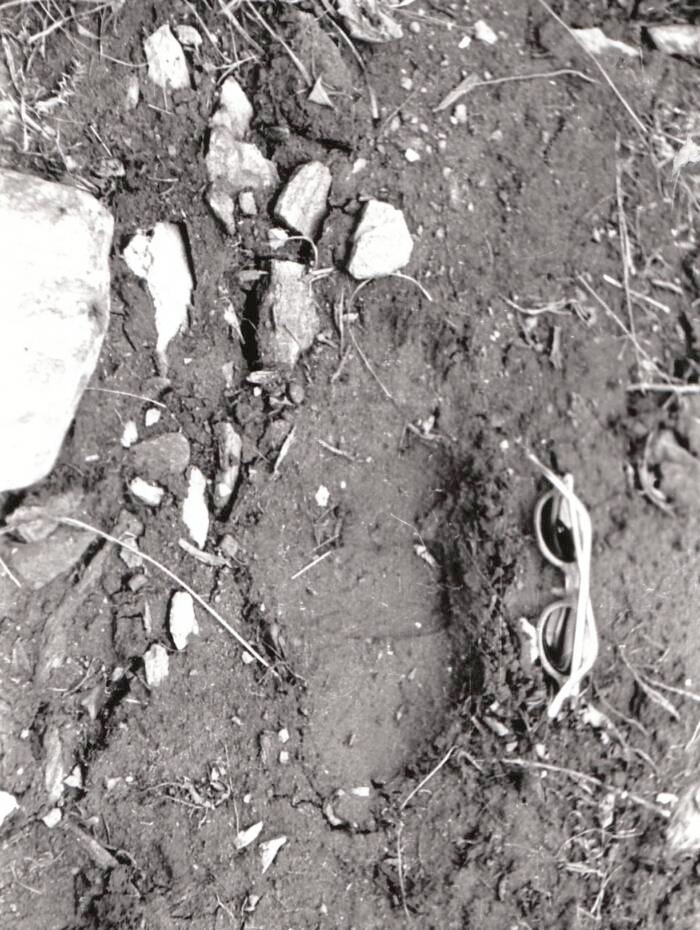 A photograph of a purported Yeti footprint taken by C. R. Cooke in 1944.