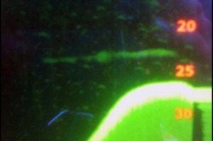 The sonar image recorded by Loch Ness boat skipper Marcus Atkinson
