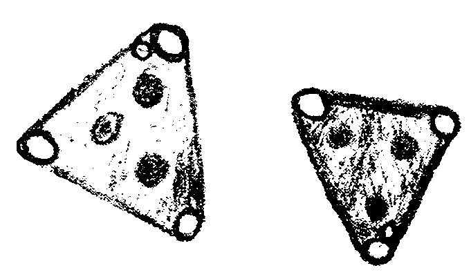 June Thomas's drawing of the triangular craft, originally printed in the South Wales Evening Post