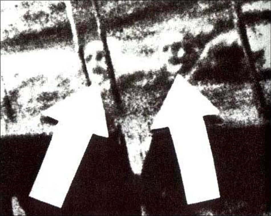 The cropped Watertown photograph showing the alleged faces in the water